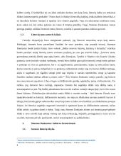 Simono Daukanto tautos ir kultūros samprata: Kaip šių sąvokų suvokimas koreliuoja su šiuolaikinėmis Lietuvos realijomis 6 puslapis