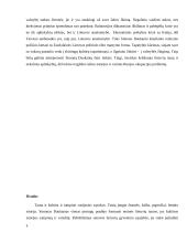 Simono Daukanto tautos ir kultūros samprata: Kaip šių sąvokų suvokimas koreliuoja su šiuolaikinėmis Lietuvos realijomis 9 puslapis