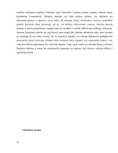 Simono Daukanto tautos ir kultūros samprata: Kaip šių sąvokų suvokimas koreliuoja su šiuolaikinėmis Lietuvos realijomis 10 puslapis
