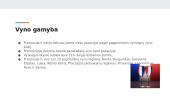 Skaidrės apie Prancūziją 9 puslapis