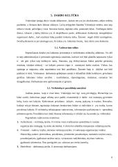 Tarpkultūrinė verslo komunikacija Vokietijoje 12 puslapis