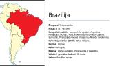 Darnus vystymasis Lietuvoje, Portugalijoje, Nigerijoje, Singapūre ir Brazilijoje 9 puslapis