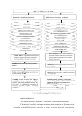 Socialinio darbuotojo, teikiančio socialines paslaugas sveikatos priežiūros įstaigoje, funkcijų analizė 15 puslapis