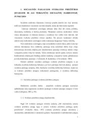 Socialinio darbuotojo, teikiančio socialines paslaugas sveikatos priežiūros įstaigoje, funkcijų analizė 7 puslapis