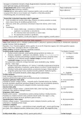 Kvėpavimo organų anatomija 2 puslapis