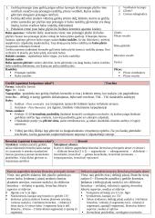 Kvėpavimo organų anatomija 3 puslapis