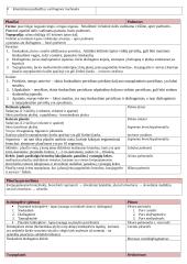 Kvėpavimo organų anatomija 4 puslapis