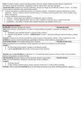 Kvėpavimo organų anatomija 5 puslapis