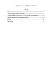 Darnaus vystymosi principų įgyvendinimo procesas