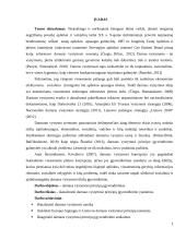 Darnaus vystymosi principų įgyvendinimo procesas 2 puslapis