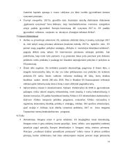 Darnaus vystymosi principų įgyvendinimo procesas 11 puslapis