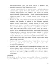 Darnaus vystymosi principų įgyvendinimo procesas 12 puslapis