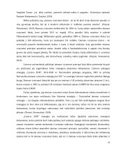 Darnaus vystymosi principų įgyvendinimo procesas 13 puslapis