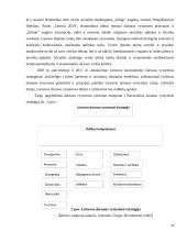 Darnaus vystymosi principų įgyvendinimo procesas 14 puslapis