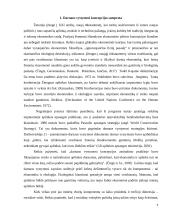 Darnaus vystymosi principų įgyvendinimo procesas 4 puslapis