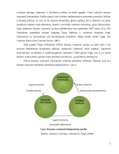 Darnaus vystymosi principų įgyvendinimo procesas 5 puslapis