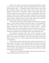 Darnaus vystymosi principų įgyvendinimo procesas 6 puslapis