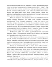 Darnaus vystymosi principų įgyvendinimo procesas 8 puslapis