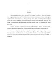 Programavimo praktika atlikta UAB ,,Vlantana” įmonėje 3 puslapis