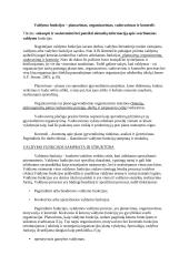 Referatas apie valdymo funkcijas 2 puslapis