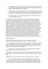 Referatas apie valdymo funkcijas 4 puslapis