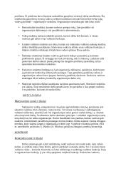 Referatas apie valdymo funkcijas 5 puslapis