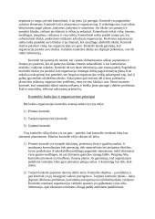 Referatas apie valdymo funkcijas 6 puslapis