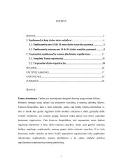 Nepilnamečių asmenų įdarbinimas 3 puslapis