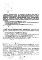 Išsami programų sistemų inžinerijos teorija 20 puslapis