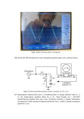 Šakotosios grandinės tyrimas 3 puslapis
