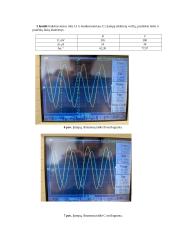 Šakotosios grandinės tyrimas 4 puslapis