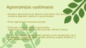 Agronomija skaidrės 2 puslapis
