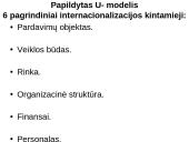Internacionalizacijos teorijos 16 puslapis