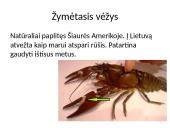 Invazinės ir introdukuotos rūšys Lietuvoje 6 puslapis