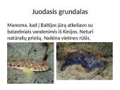 Invazinės ir introdukuotos rūšys Lietuvoje 8 puslapis