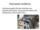 Invazinės ir introdukuotos rūšys Lietuvoje 10 puslapis