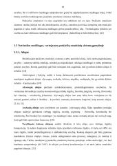 Puskietės emulsinės sistemos V/A su bičių vašku modeliavimas ir kokybės vertinimas  14 puslapis