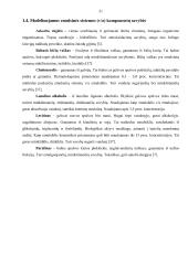 Puskietės emulsinės sistemos V/A su bičių vašku modeliavimas ir kokybės vertinimas  17 puslapis