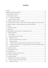 Puskietės emulsinės sistemos V/A su bičių vašku modeliavimas ir kokybės vertinimas  3 puslapis