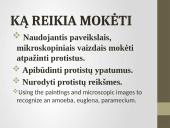 Pirmuonys – vienaląsčiai protistai 2 puslapis
