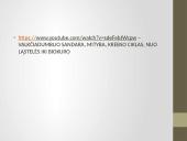 Pirmuonys – vienaląsčiai protistai 16 puslapis