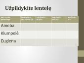 Pirmuonys – vienaląsčiai protistai 8 puslapis