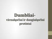 Pirmuonys – vienaląsčiai protistai 10 puslapis