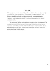 Kodėl 2020 metų rinkimai Baltarusijoje sukėlė protestus? 3 puslapis