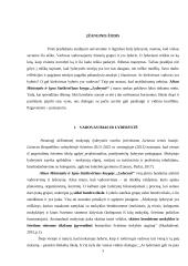 Vadovavimas, lyderystė ir lyderis 3 puslapis