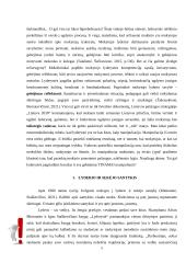 Vadovavimas, lyderystė ir lyderis 5 puslapis