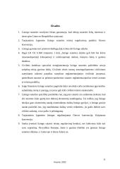 Lizingo sutartis (lietuvių kalba) 10 puslapis