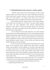 Lizingo sutartis (lietuvių kalba) 8 puslapis