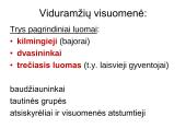Pamoka apie feodalizmą 7 puslapis
