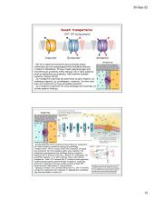 Ląstelių plazminė membrana ir medžiagų transportas 13 puslapis